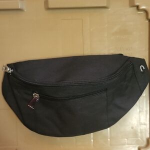 Black Fanny Pack/Cosmetic Bag